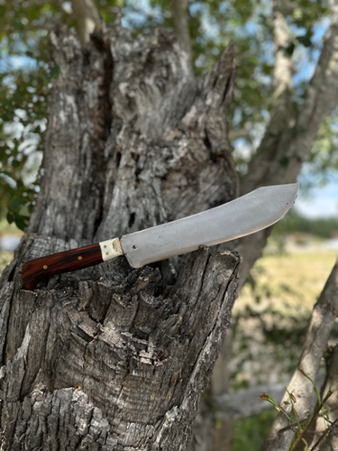 Butcher Knife 10’ (Cocobolo) 2