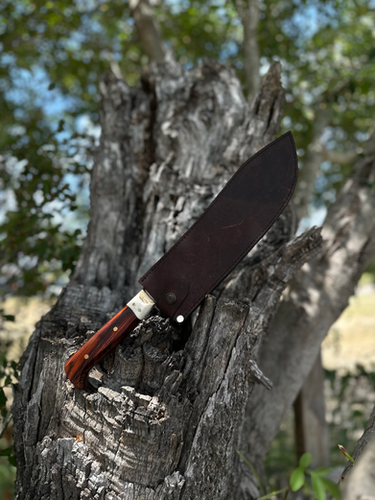 Butcher Knife 10’ (Cocobolo) 3