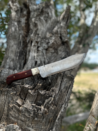 Butcher Knife 8’ (Cocobolo) 2