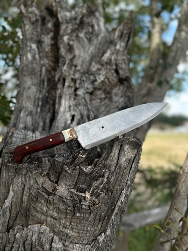 Chef Knife (Cocobolo) 2