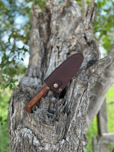 Chef Knife 6’ (mesquite) 3
