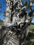 Dagger Knife 5’ (Antler)