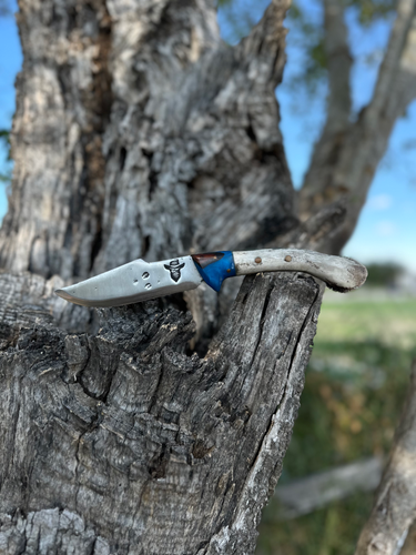 Dragon Claw