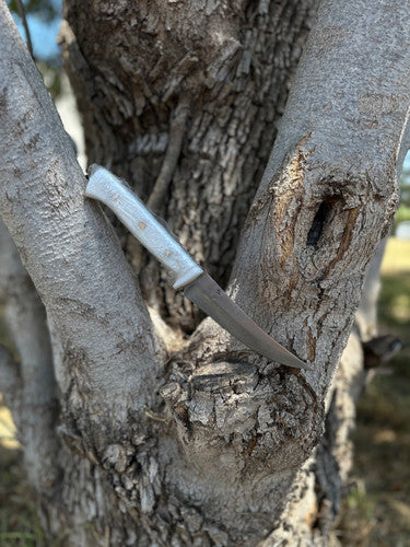 Field Dresser Knife (Sanalite) 2