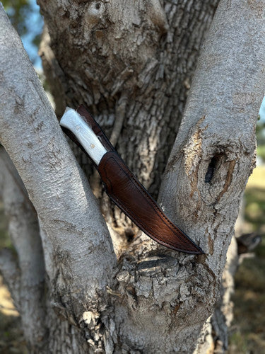 Field Dresser Knife (Sanalite) 3
