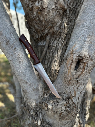 Fileing Knife (Cocobolo) 2