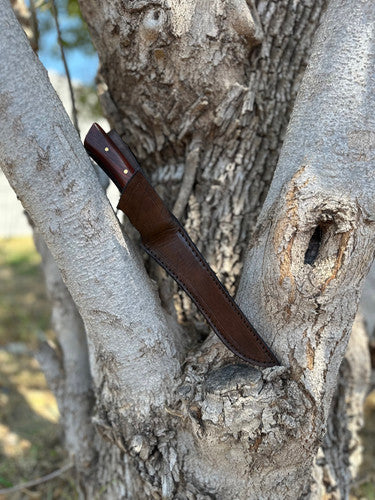 Fileing Knife (Cocobolo) 3