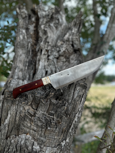 Kitchen Knife (Cocobolo) 2