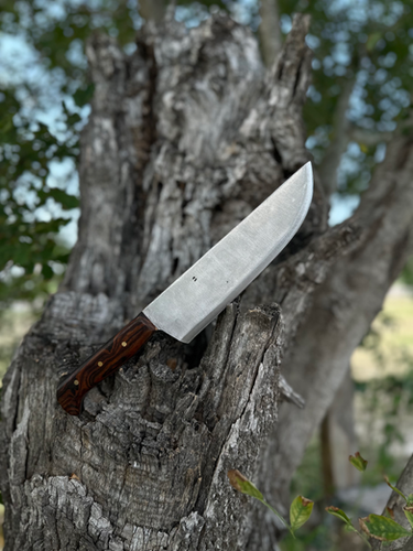 Kitchen Knife (Ironwood) 2