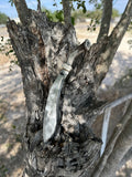 Kukri Machete (Antler)