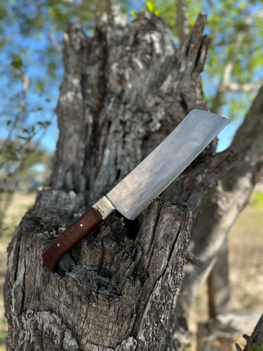 Santo Knife 8’ (Cocobolo) 2