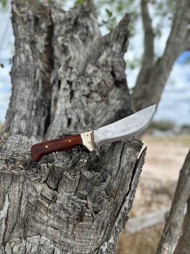 Skinning Knife (Cocobolo) 2