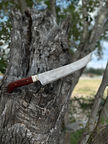 Slicer Knife 10’ (Cocobolo) 2