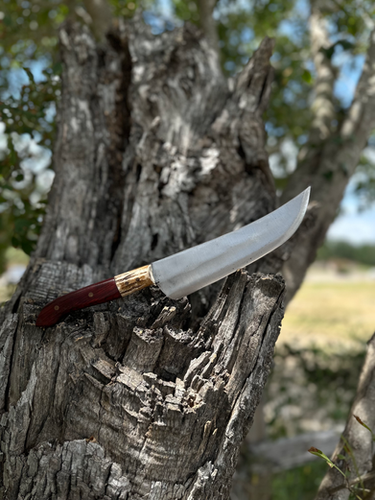 Slicer Knife 8’ (Cocobolo) 2