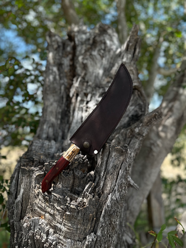 Slicer Knife 8’ (Cocobolo) 3