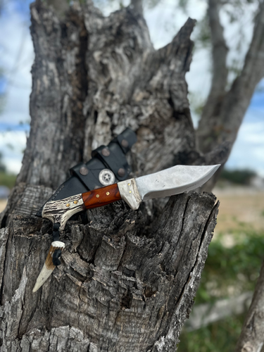 Texas Ranger (Cocobolo/Antler) 2