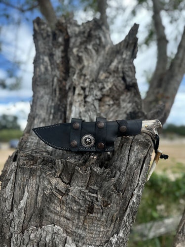 Texas Ranger (Cocobolo/Antler) 3