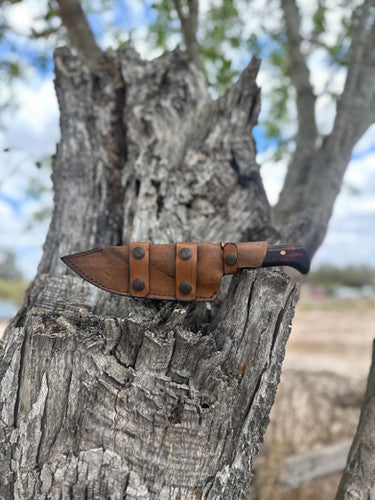Tx Ranger (Cocobolo) 3