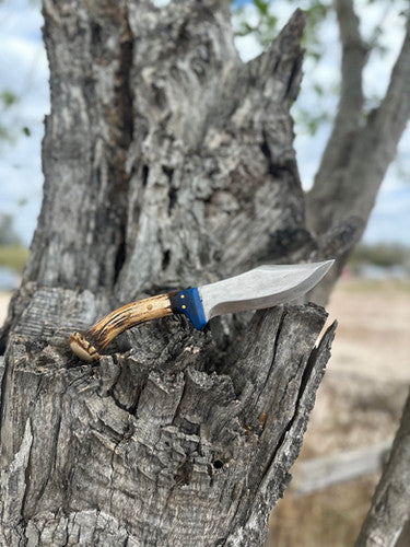 Tx Ranger (Epoxy) 2