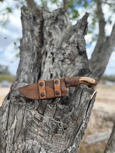 Tx Ranger (Epoxy) 3