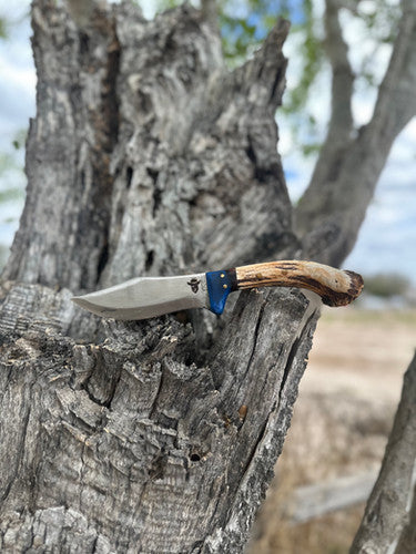 Tx Ranger (Epoxy)